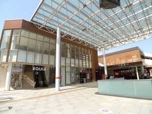 シアン・フィデール 102号-14