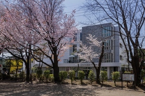 ＢＥＲＥＯ　ＫＯＴＥＳＡＳＨＩ 305号-15