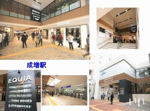 アルトゥーラ 南 302号-15