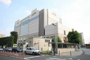 フェリーク 106号-15