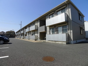 スピナキア 103号-4