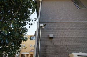 グリーン　フレーム 205号-5