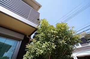 ショコラⅠ 201号-14