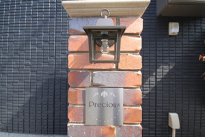 プレシャス 102号-13