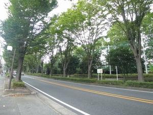 グランドシャトー航空公園A 102号-15