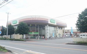 ティーズ　コート　Ａ 203号-13