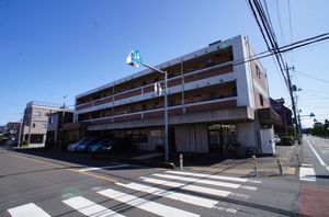 グレイスメイ 201号-1