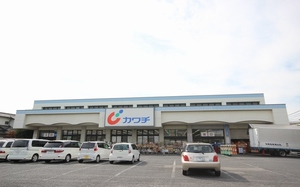 パレスエルクレアⅡ 203号-15