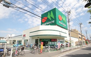 ラフィニア草加旭町 202号-14