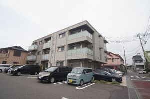 アムール街道 Ⅱ 301号-3