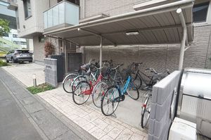 アムール街道 Ⅱ 301号-4