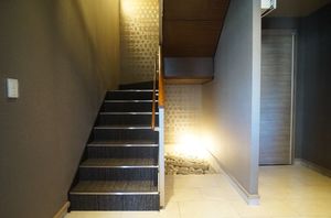 Ａｍｉｎｇ 203号-15