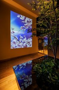 ヴィラ・ボヌール 203号-13