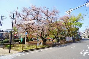 メゾン　ド　ソレイユ 304号-15