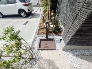 フォルトリア 101号-5