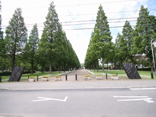 ウィン ハイツ C 102号-5