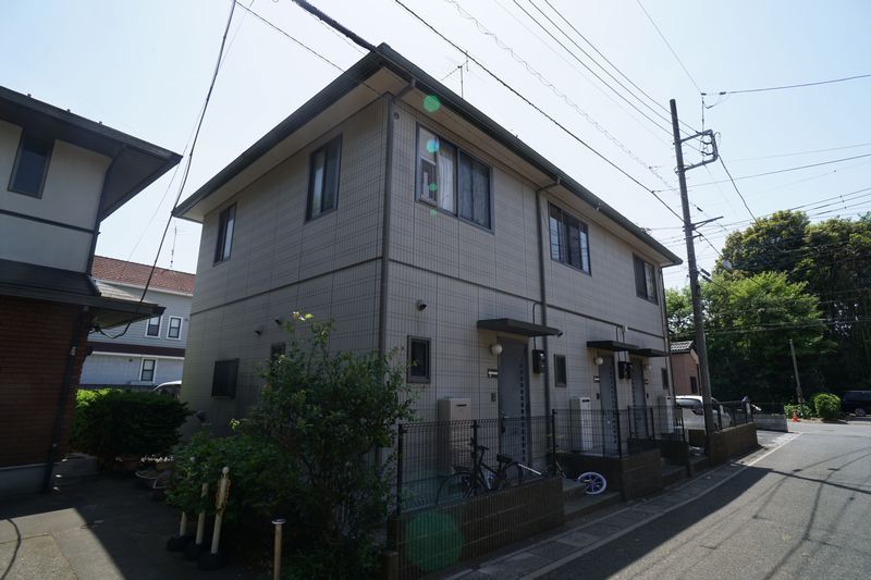 クリプトメリア 102号-14