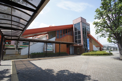 ベントグラス 203号-3