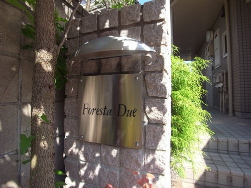 Ｆｏｒｅｓｔａ　Ｄｕｅ 202号-12