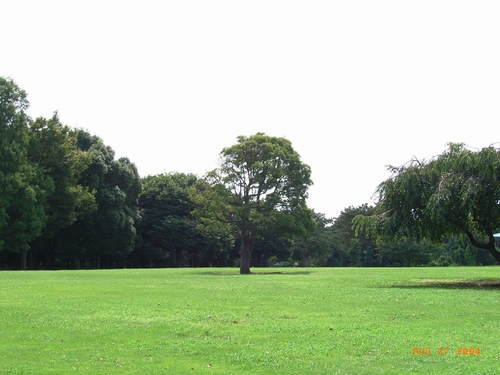 Garden Court IZUMI 101号-14