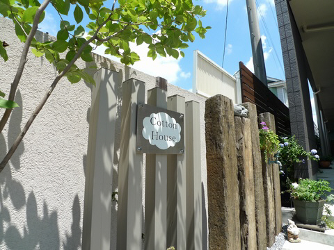 コットンハウス 101号-13