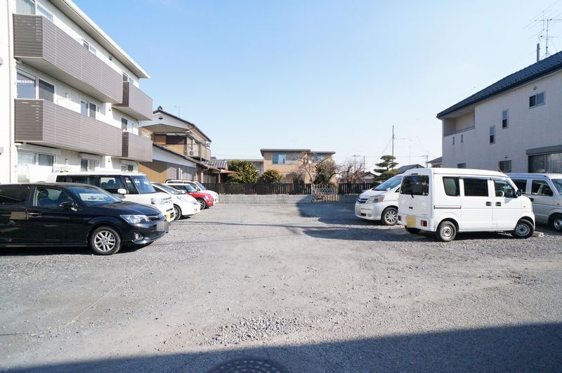 Sun Lavender 203号-12