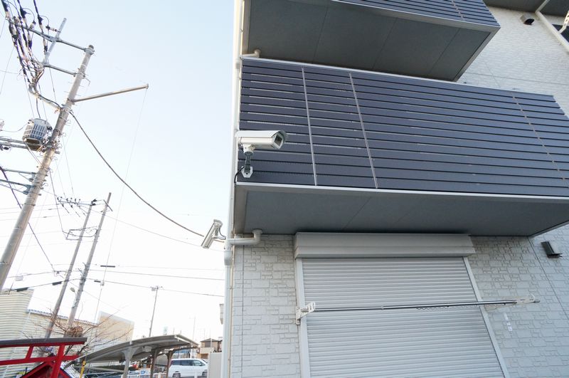 Sun Lavender 203号-14