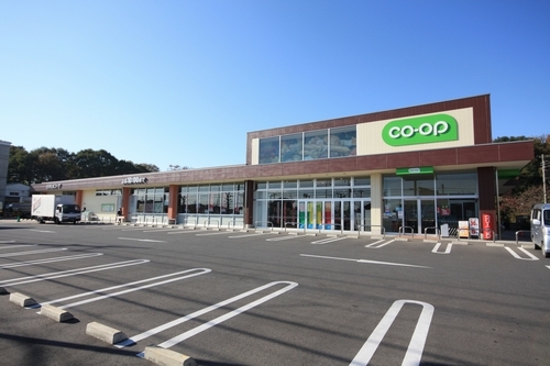 エヌ・メゾン 101号-15