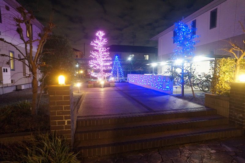 Ｐａｒｃｖｅｒｔ　Ｂ館 203号-13