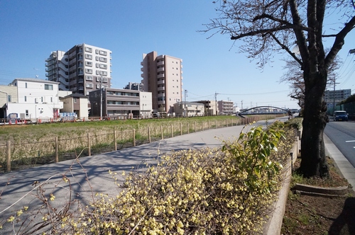 Ｙ・パティオ 103号-5