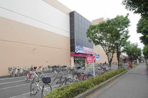 セントポーリア 201号-14