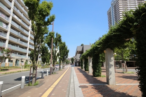 Notre reve Ⅰ 201号-15