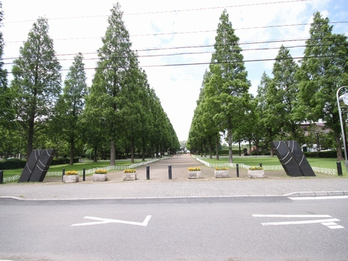 ＭＡＩＳＯＮ　ＨＩＭＡＷＡＲＩ　Ⅱ 102号-15