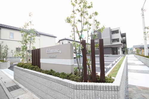 プリムローズ 106号-2