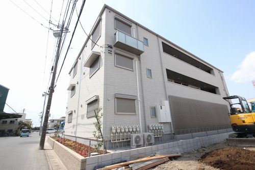 シトラス 302号-13