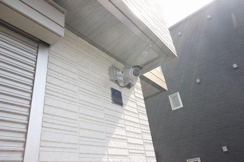 シトラス 302号-15