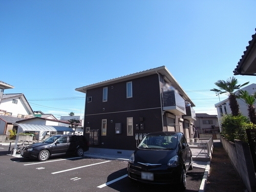 オキザリス B 201号-14