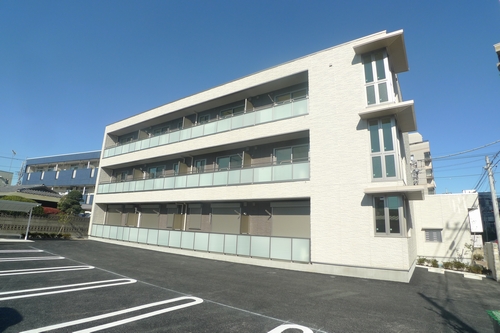 マーヴェラスさくら草 202号-2