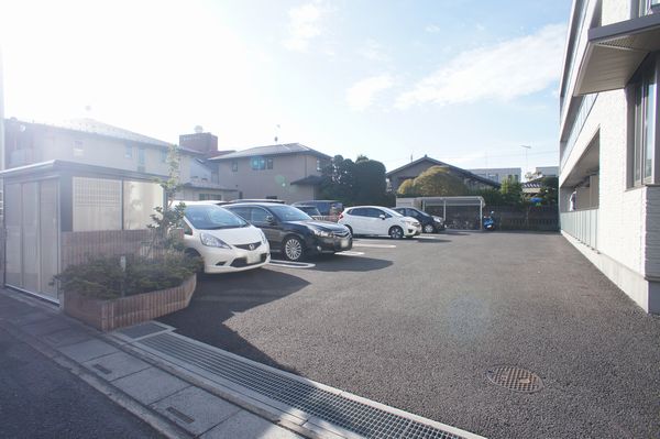 マーヴェラスさくら草 202号-5