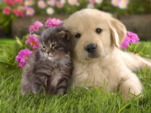 伊奈町寿貸家Ｂ 101号-15