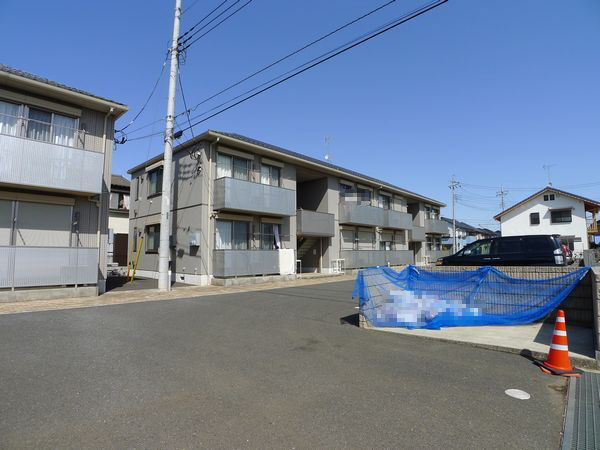 スピナキア 103号-3