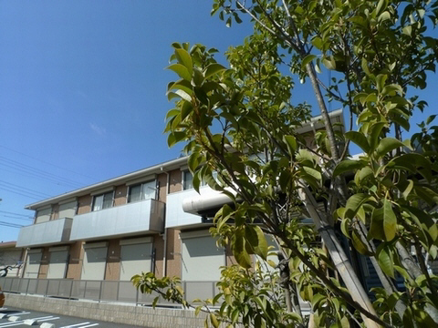 その他画像1