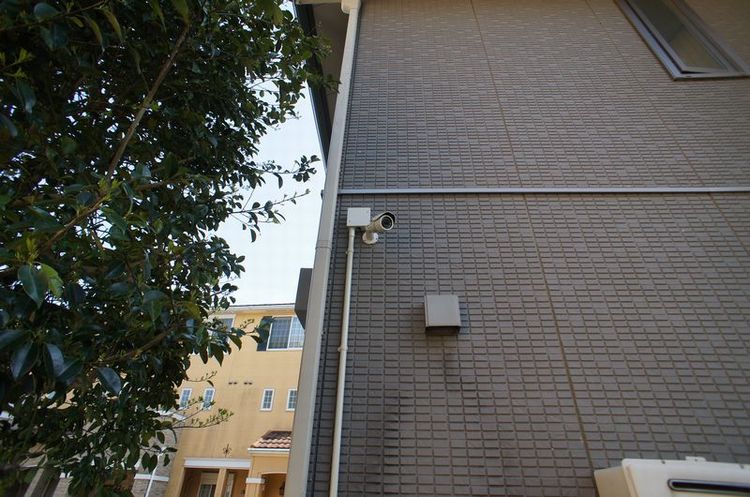 グリーン　フレーム 205号-5