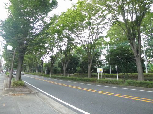 グランドシャトー航空公園A 102号-15