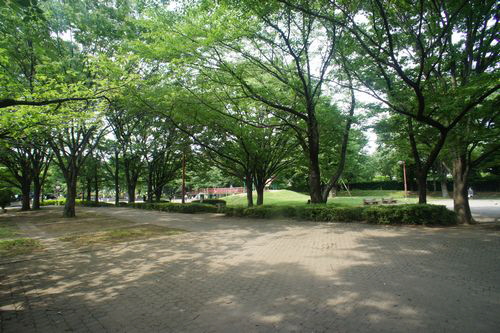 パラッシオ本町 Ⅱ 102号-4