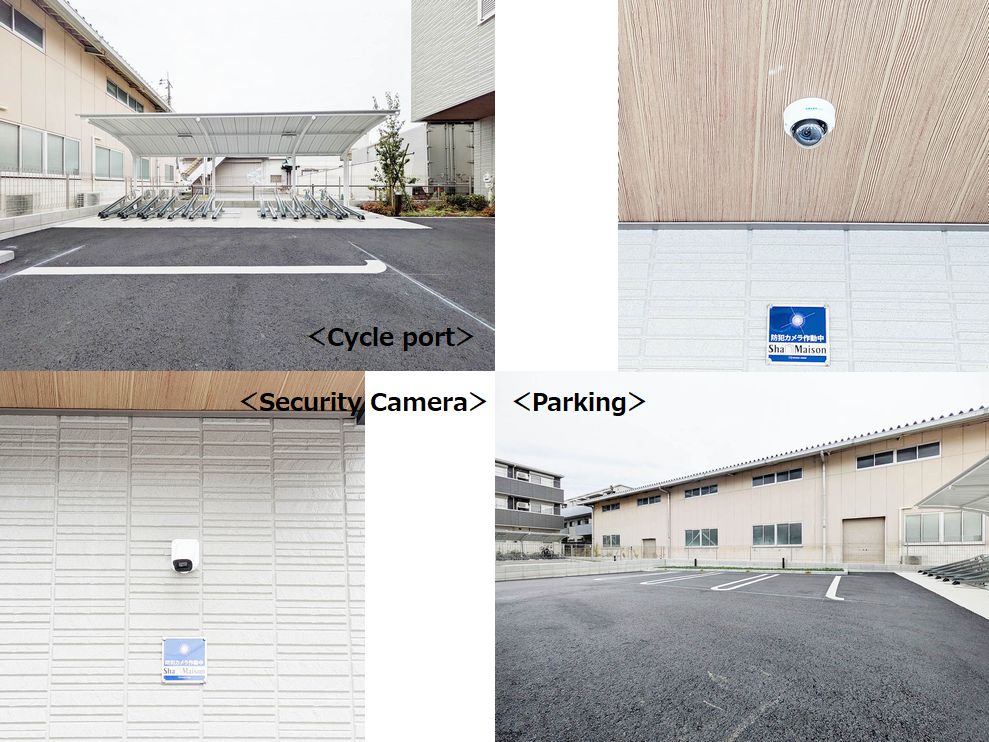 セルディーナ天神 202号-4