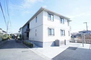 Ｆｏｒｅｓｔ　Ｈｉｌｌｓ