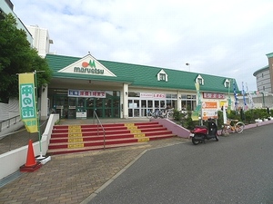 リバティハウス矢切 206号-12