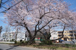 ビレッジ花園 102号-15