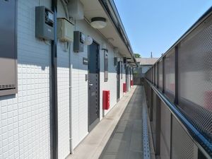 パインK 205号-13